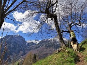 18 Dal bosco si aprono ogni tanto belle finestre panoramiche verso i monti Cornetta e Corna Grande